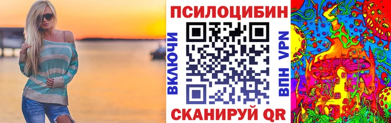 Псилоцибиновые грибы Psilocybe  наркошоп  Стародуб 