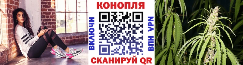 Бошки Шишки THC 21%  наркота  блэк спрут зеркало  Стародуб 